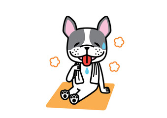 サウナに入って気持ちよさそうな表情のフレンチブルドッグ　パイド