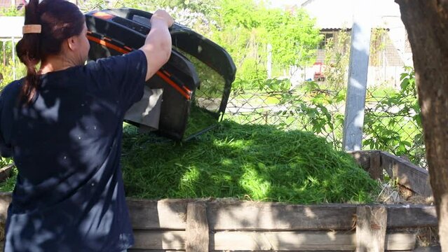 Woman dumping freshly cut grass from container into compost pit and scattering bunch by hands, slow motion. Mulch and organic fertilizer in gardening. Ecologically friendly environment.