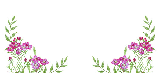 watercolor illustration frame of wax flowers isolated on white background, border frame colored hand drawn illustration for decoration of invitations, cards, labels