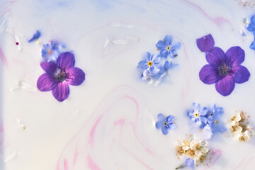 Wildflowers in milky water with paint streaks. Purple and blue. Abstraction, background image. Tenderness and weightlessness.