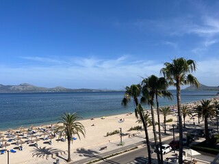 Palm Trees Beach with blue sky front of the beach
