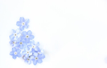 Delicate blue flowers in milk. Tenderness and weightlessness. Personal care products. Body milk,...