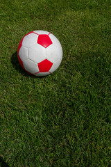 Soccer ball on green grass of football field with copy space