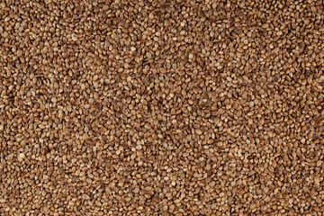 Hemp seeds, close-up. Natural Healthy eating. Design element. Cannabis seeds are source of Omega-3 fatty acids, protein, magnesium and other trace element