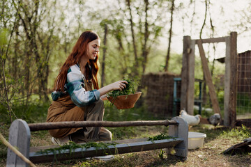Young beautiful woman bird farm worker smiling and happy feeding chickens at the feeding trough outdoors sitting on the green grass
