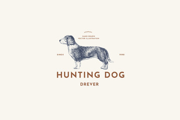 Logo template with a hunting dog in the style of engraving. Emblem with a dog breed Drever on a light background. Vector vintage illustration of a pet.