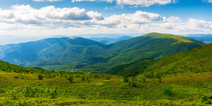 green landscape in evening light. grassy hills and meadows of carpathian mountains beneath a sky with glowing clouds