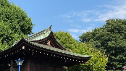 The ancient design religious roof of traditional shrine house Japan, “Gojyoten Jinjya”, clear blue sky June 10th year 2022 - obrazy, fototapety, plakaty