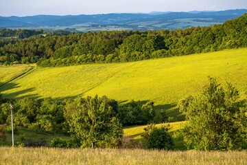 Fresh green countryside with meadow, forest and hill, Jaroslavice, Czechia.