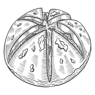 recommend clip art: cream cheese garlic korea or korean cuisine traditional food isolated doodle hand drawn sketch with outline style