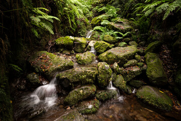 Water pouring down mossy rocks in a narrow valley bend at the "Levada dos Cedros" hiking trail in the valley of Ribeira da Janela, Madeira, Portugal