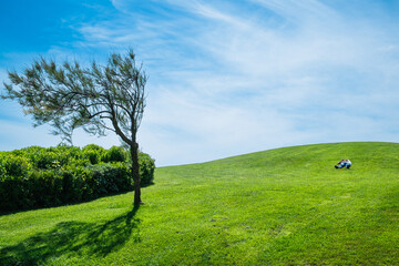 Eine Person ruht sich auf einer Wiese aus, Biscarosse, Frankreich