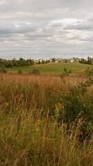 Beautiful rustic summer landscape. Old wooden log houses. Vologda region
