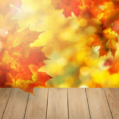 Naklejka na ściany i meble Seasonal autumn frame decoration arranged with fall leaves. Golden time