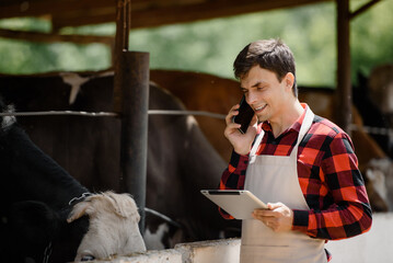  farmer is holding a tablet and verification his cows on his cattle farm.