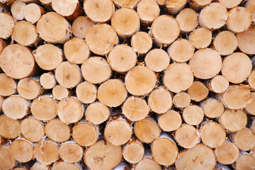 A woodpile made of round birch logs harvested for the winter for stove heating.Sale,purchase of firewood.Chopping wood.Blank for decoration