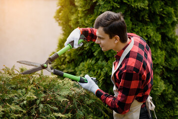 Man gardener is cutting the bushes in his garden.