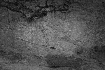 Wood cracked and dust background.