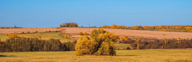 Photo sur Plexiglas Couleur miel Beautiful colored autumn landscape