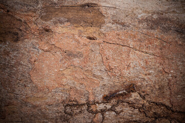 Old wood cracked and dust background texture.