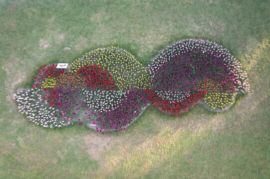 Aerial view of artistic flower composition at Parc de l'Indipendance (The Independent park), Morges, Switzerland.