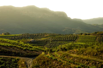Poster landscape of vineyards in the Priorat wine region in Tarragona in Spain © CarloSanchezPereyra