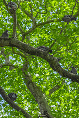 The Fauna and flora in macro and close-up photography on the Howth Peninsula, Seashore of cliffs, bays and rocks landscape, hidden bay, spectacular scenery in sunny day,