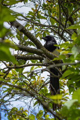  The Fauna and flora in macro and close-up photography on the Howth Peninsula, Seashore of cliffs, bays and rocks landscape, hidden bay, spectacular scenery in sunny day,
