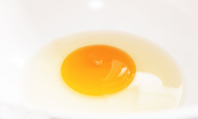 raw egg yolk in plate