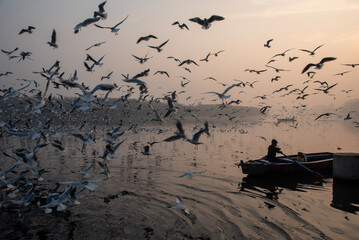 fishing boats at sunset