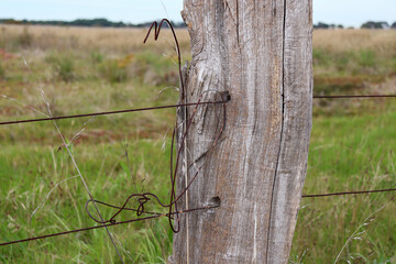 rusty barbed wire on old wooden fence post