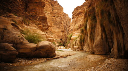 Desert Wadi Rum Petra Canyon Jordan Travelling