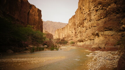 Desert Wadi Rum Petra Canyon Jordan Travelling