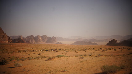 Fototapeta na wymiar Desert Wadi Rum Petra Canyon Jordan Travelling
