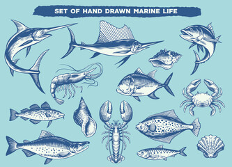 Set of Hand Drawn Marine Life Animals