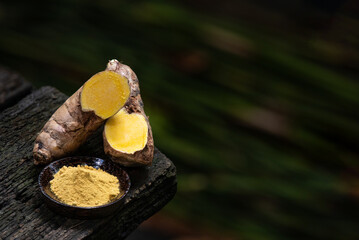 Zingiber montanum rhizome and powder on nature background.