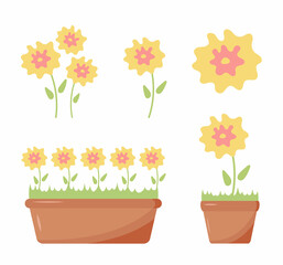 Spring flowers. Floral decorative interior elements. Isolated flowers in pot, houseplant vector illustration. Interior bloom flower in pot, flower bud, flower, bouquet