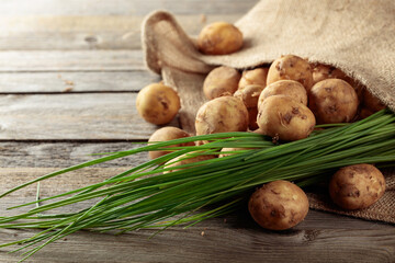 Fresh organic potatoes with green onion on a old wooden table.