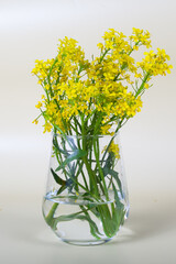 yellow flower in a glass
