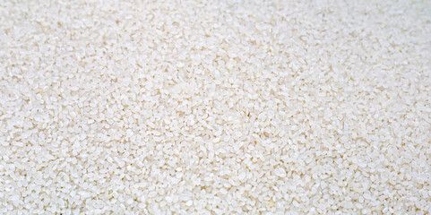 Uncooked japan rice for background