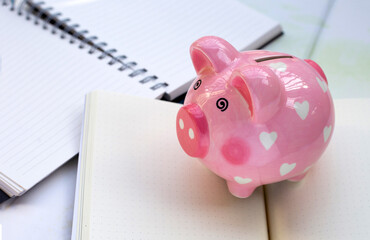 Pink piggy bank with books