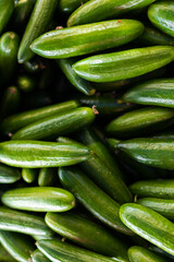 Fresh cucumbers on the counter of the store