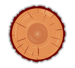 Illustration of tree ring background and saw 

cut tree trunk brown silhouette. Detailed 

texture of cracked slice of tree. tree trunk 

ring saw cut.
