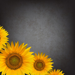 abstract floral background with sunflower - 509993910