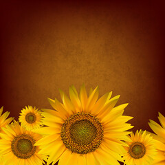 abstract floral background with sunflower - 509993912