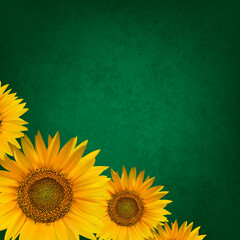abstract floral background with sunflower - 509993925