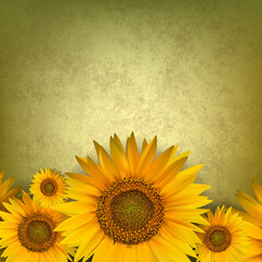 abstract floral background with sunflower on golden - 509993940