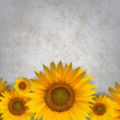 abstract floral background with sunflower on ight gray