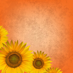 abstract floral background with sunflower