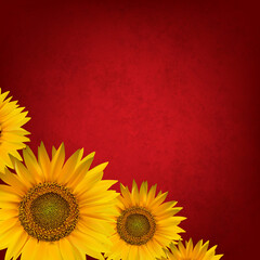 abstract floral background with sunflower - 509993974